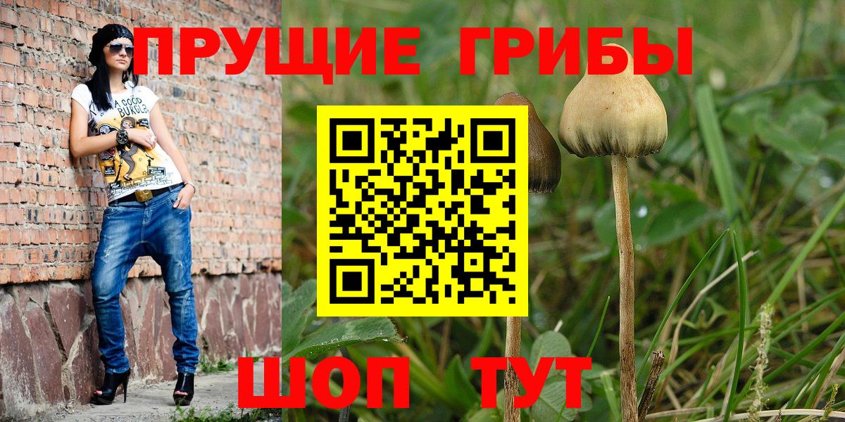 Псилоцибиновые грибы Magic Shrooms  купить  сайты  Усолье-Сибирское  Вход с VPN 